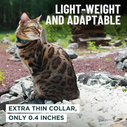 OutdoorBengal Pink Breakaway Kitten Collar - Image 6