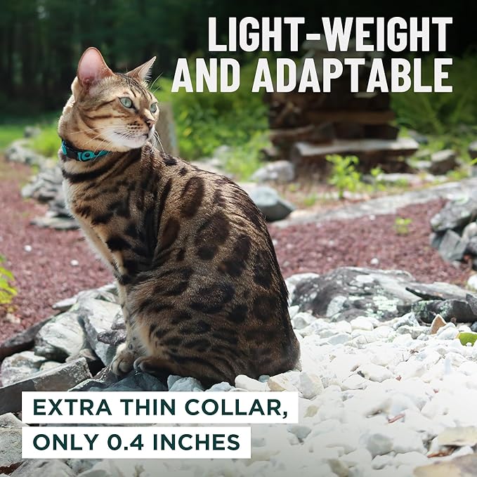 OutdoorBengal Black Cat Collar Breakaway, Soft Padding - Image 6