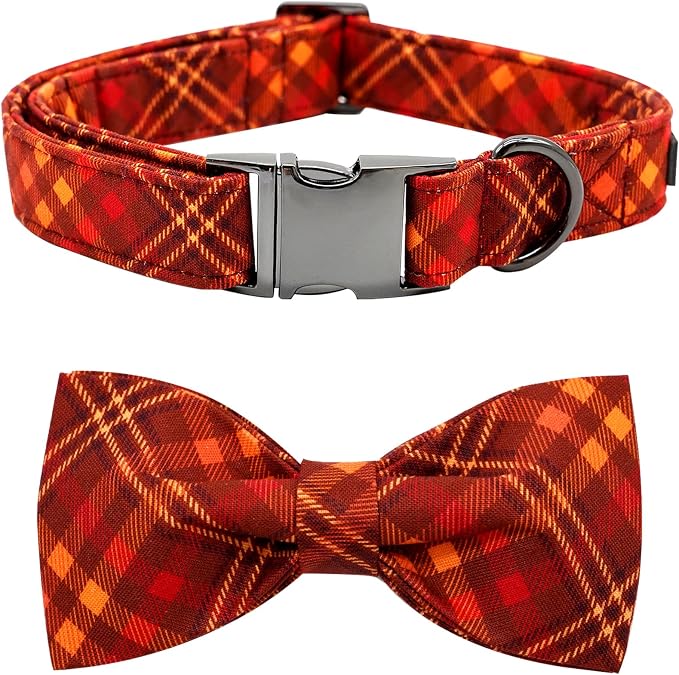 Fall Dog Collar, Pet Collar by BoboRainbow