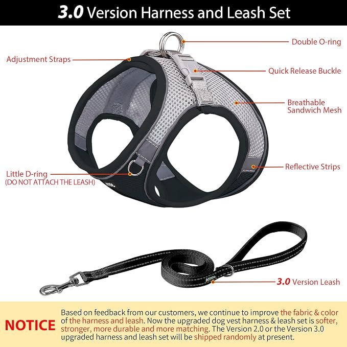 AIITLE Step in Dog Harness and Leash Set - Image 4