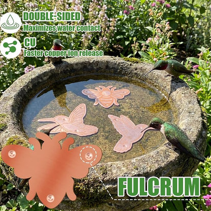 4 Pack Bird Bath Copper Disk Bird Bath Purification Disk - Image 3