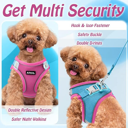 AIITLE Dog Harness, No-Pull Cat Harness - Image 7