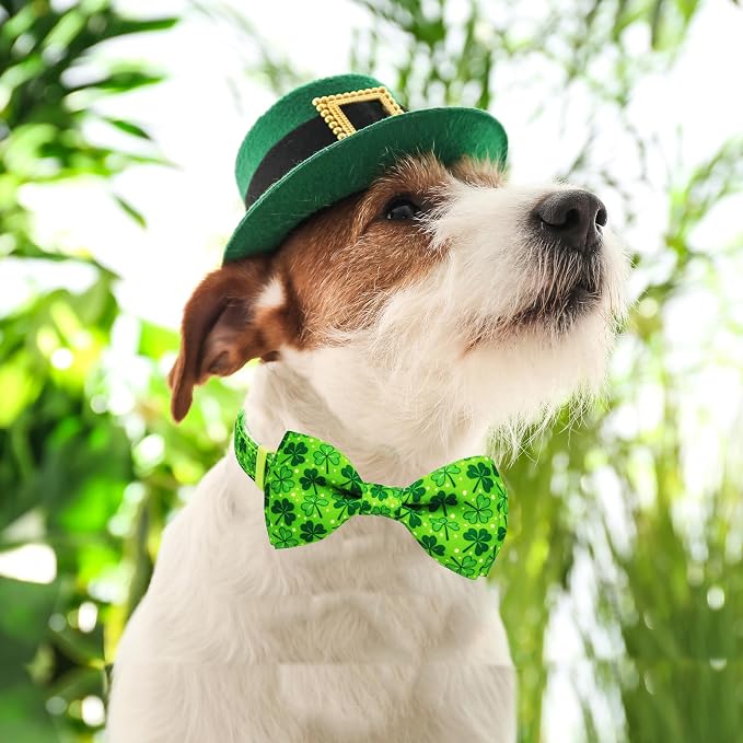 St. Patrick Day Dog Collar Adjustable Puppy Collar - Image 5