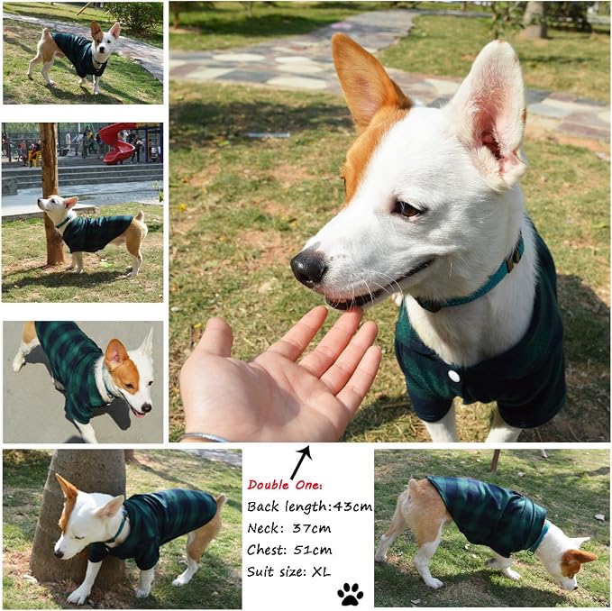 Koneseve Dog Shirt - Image 7