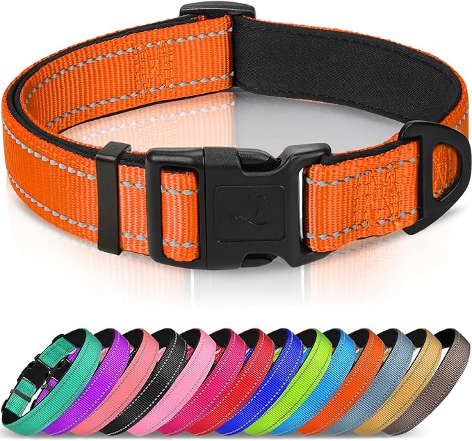 Joytale Dog Collar, Soft Neoprene Padded Breathable Nylon Pet Collar Adjustable by Joytale