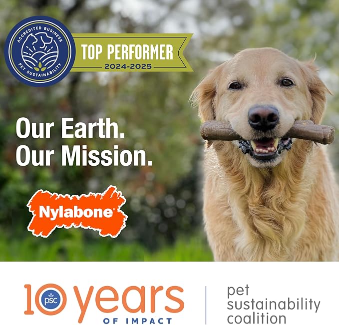 Nylabone Puppy Chew Key Ring Toy, Toys - Image 9
