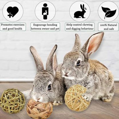 SunGrow Assorted Rabbit Chew Balls, Teething Activity Toy - Image 6
