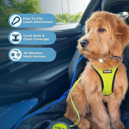 Best Pet Supplies Voyager Step-in Air All Weather Mesh Harness and Reflective - Image 5