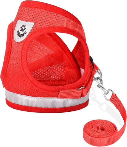 Cat Harnesses and Puppy Harness by GAUTERF