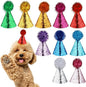10 Pack Mini Small Dog Hats Cat Birthday Party Hat by Unknown