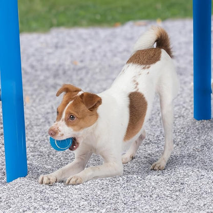 Best Pet Supplies Interactive Squeaky Dog Chew Toy, Ideal Dog Toys - Image 7