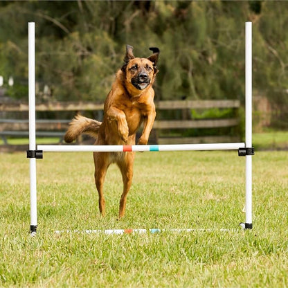 Midlee Dog Agility Bar Jumps- Set of 4 Jumps - Image 5