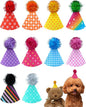 PET SHOW 10 Pack Mini Party Hats by PETSHOW