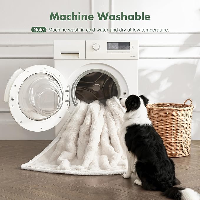 Soft Cozy Waterproof Dog Blanket - Image 6