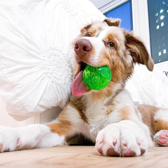 Hyper Pet DuraSqueak Dog Ball Toy, Interactive, Dog Balls - Image 2