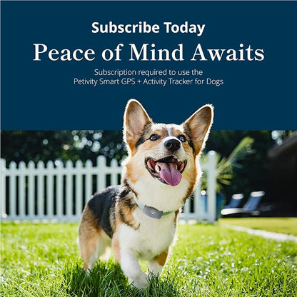 Petivity Smart GPS and Activity Pet Tracker - Image 10
