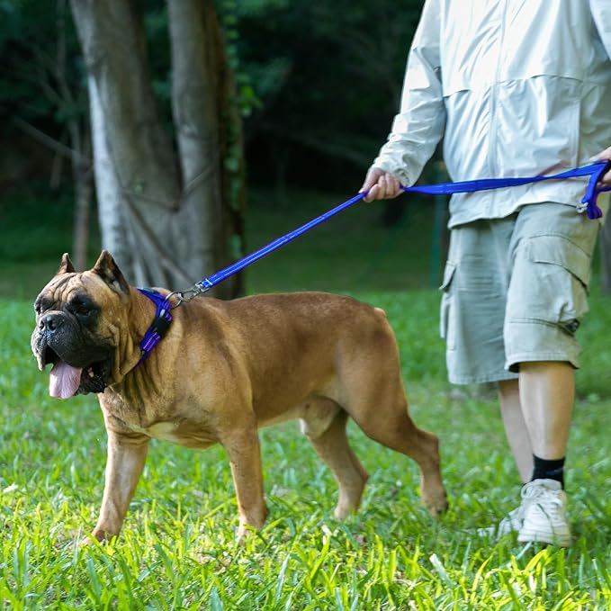 EXCELLENT ELITE SPANKER Reflective Dog Collar Classic Soft Padded Breathable - Image 6