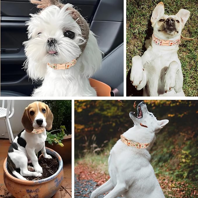 Autumn Dog Collar，Soft Cotton Handmade Pet Collar - Image 6