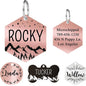 Ultra Joys Stainless Steel Pet ID Customized Personalized, Front and Back by UltraJoys