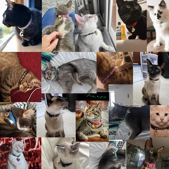 WAAAG Cat Collars, Safety Breakaway Cat Collar, Glow in The Dark - Image 3