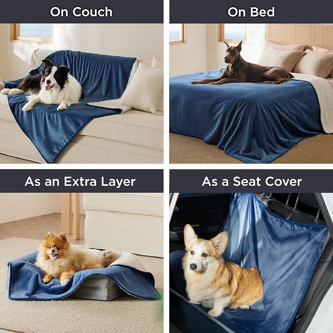 Bedsure Cat Blanket for Indoor Cats - Image 5