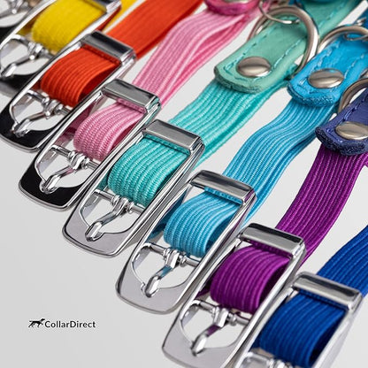 CollarDirect Leather Cat Collar, Kitten Collar - Image 5
