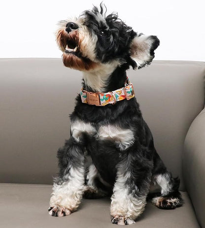 Unique style paws Dog Collar Metal Buckle Gift - Image 3