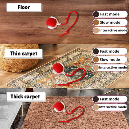 Speedy Tail 2.0 Cat Toy, 360°Automatic Rolling Ball, Smart Interactive Cat Toy - Image 7