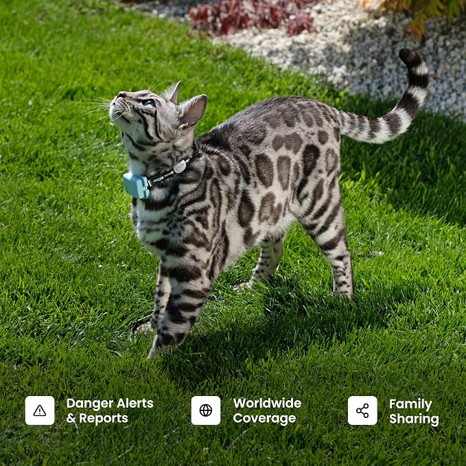 Tractive Smart Cat GPS Tracker | Real-Time Location & Wellness Monitoring - Image 8