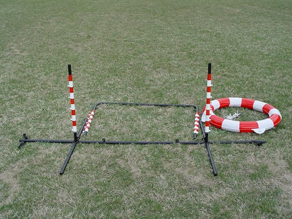 Agility Tire Jump - Image 7