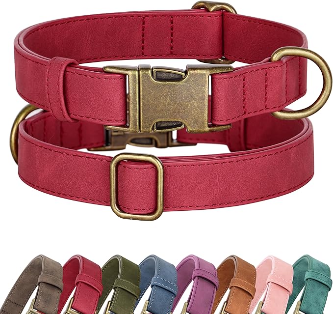 Didog Soft PU Leather Dog Collar, Stylish Quick Released Dog Collar by Didog