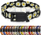 Dog Collar, Daisy Boys Girls Puppy Collar by Seyezo