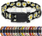 Dog Collar, Daisy Boys Girls Puppy Collar by Seyezo