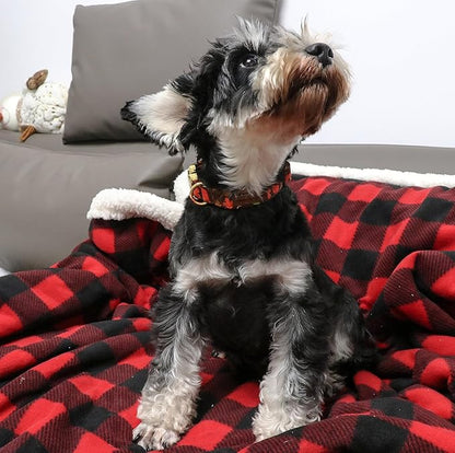 Unique style paws Dog Collar Metal Buckle Maple Leaves Collar Gift Durable Cute - Image 5
