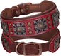 PET ARTIST Genuine Leather Dog Collar by PETARTIST