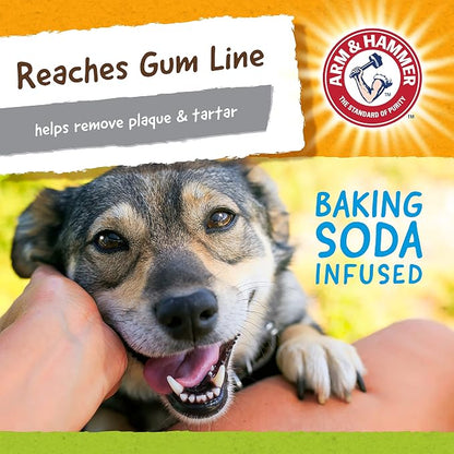 Arm & Hammer Nubbies Duality Bone, A Dental Chew Toy - Image 6