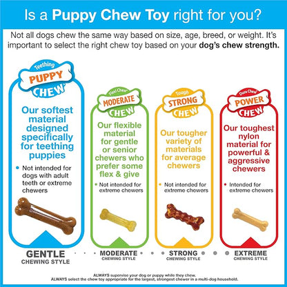 Nylabone Double Action Bone Puppy Chew Toy, Rubber Teething Toys - Image 10