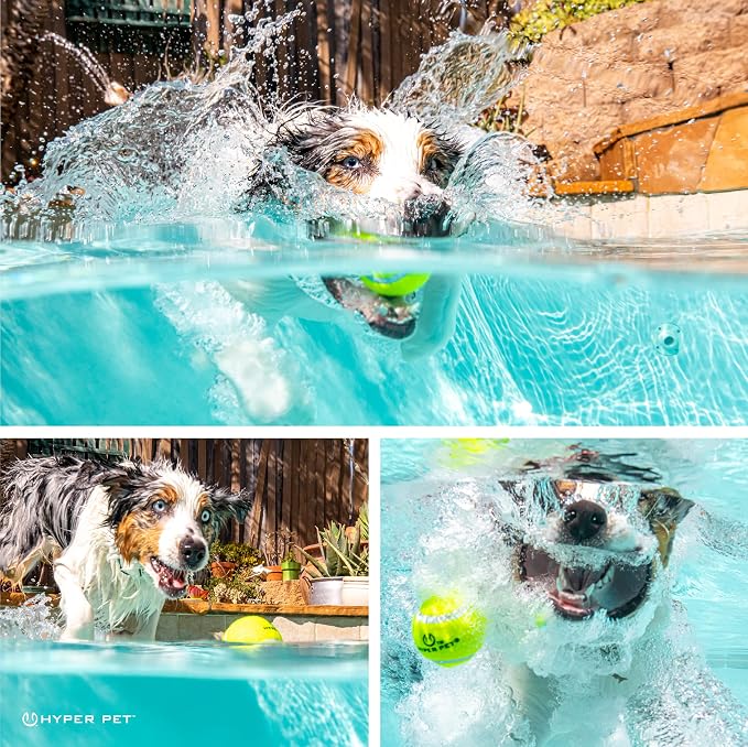 Hyper Pet Tennis Balls for Dogs, Pet Safe Dog Toys for Exercise and Training - Image 3