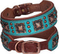 PET ARTIST Soft Padded Leather Dog Collar, 2 inch Wide Genuine Leather Dog by PETARTIST