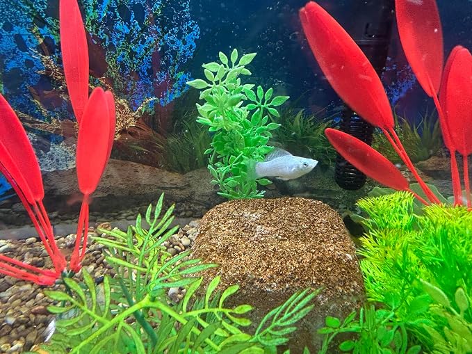 Aquarium Stone for Natural Water Clarification and Odor Removal Featuring - Image 5