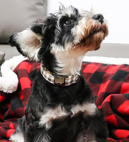 Unique style paws Dog Collar Metal Buckle Gift - Image 3