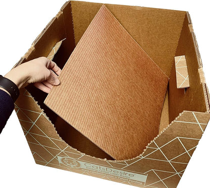 Leakproof Disposable Cat Litter Box 3 Pack Top/Low Entry INCLUDES- 3 lids - Image 9