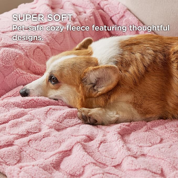 Bedsure Dog Blanket for Small Dogs Washable - Image 2