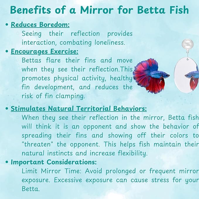 2 pcs Betta Ring Enrichment Toys - Image 5