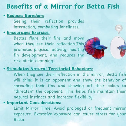 2 pcs Betta Ring Enrichment Toys - Image 5