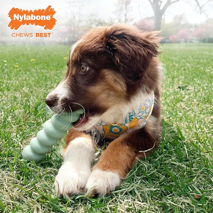 Nylabone Sensory Material Soothing Puppy Chew Toy Bundle, Toys - Image 6