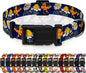 Dog Collar with Butterflies Print, Daisy Boys Girls Puppy Collar by Seyezo