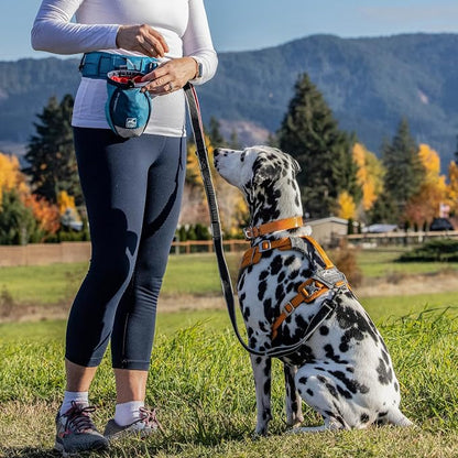 Kurgo G-Train Dog Carrier Backpack - Image 2
