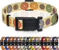 Dog Collar, Classical Indian Spirit Boys Girls Puppy Collar by Seyezo