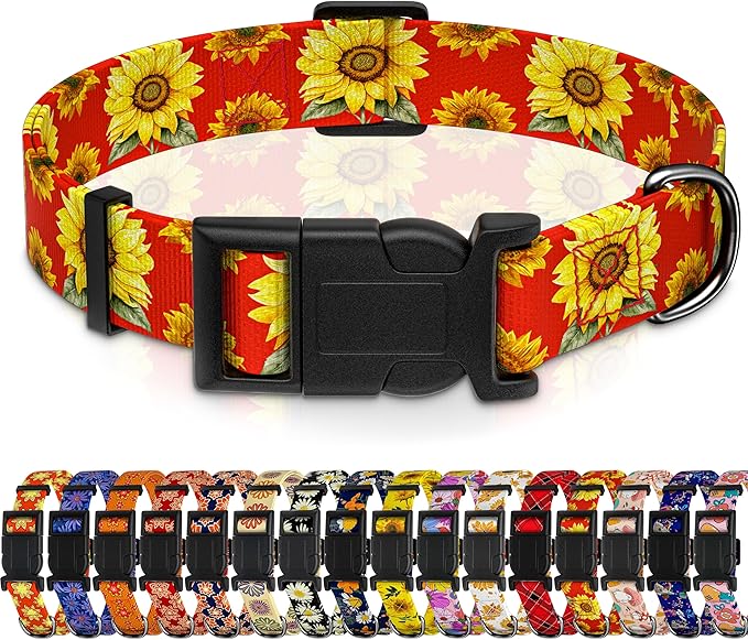 Sunflower Dog Collar, Floral Boys Girls Puppy Collar by Seyezo